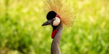 Uganda Martyrs’ Major Seminary hosts formation workshop on Synodality – Vatican News