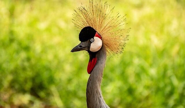 Uganda Martyrs’ Major Seminary hosts formation workshop on Synodality – Vatican News