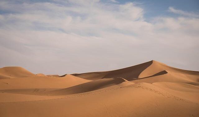 Morocco Hosts FAN 2025, Offering Access to Digital Innovation – Morocco World News