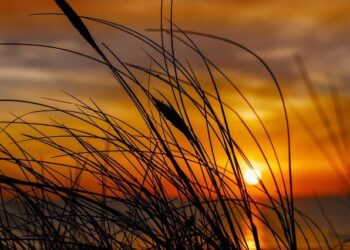 Denmark sets up ‘night watch’ to monitor Trump after Greenland row – The Guardian