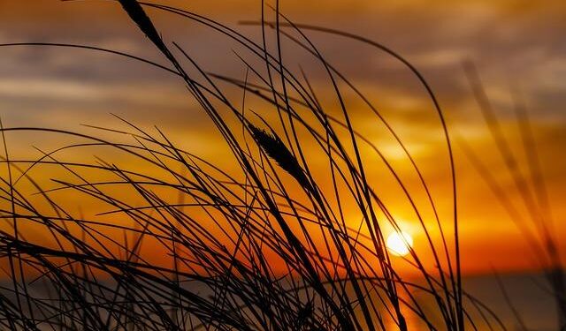 Denmark sets up ‘night watch’ to monitor Trump after Greenland row – The Guardian