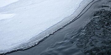 Finland’s Stubb says Trump ‘working very hard’ to find solution to war in Ukraine – Reuters