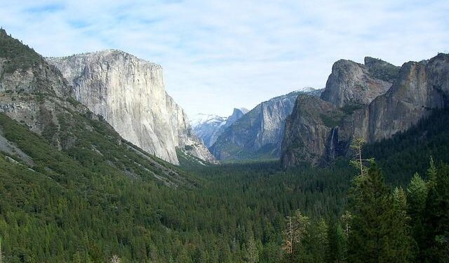 U.S. and Bulgaria Join Forces to Stop Deadly Fentanyl Flow – DEA (.gov)