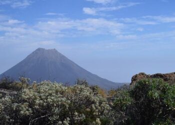 Where to watch Cape Verde Islands today? Live soccer streams and TV channels for upcoming games – Goal.com