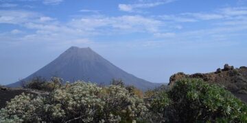 Where to watch Cape Verde Islands today? Live soccer streams and TV channels for upcoming games – Goal.com