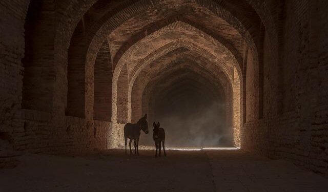 Iran’s Last Ally in the Middle East – The Atlantic