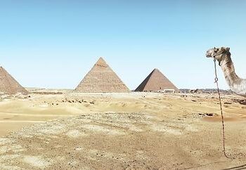 Sahara: European Parliament smacks Algerian Regime, confirms Morocco-EU Agricultural Deal – northafricapost.com