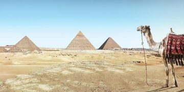 Sahara: European Parliament smacks Algerian Regime, confirms Morocco-EU Agricultural Deal – northafricapost.com