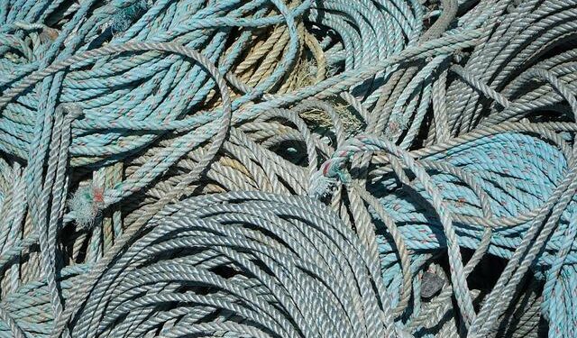 Niue to host Pacific Fisheries Ministerial – Islands Business