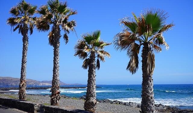 Cristiano Ronaldo red card: Could Portugal’s captain be banned for 2026 World Cup opener? – The New York Times