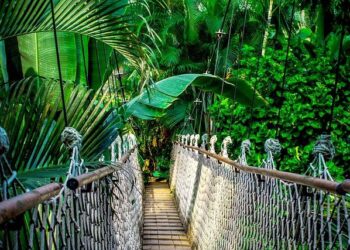 Amazon And Acer Store Deals: Check Out The 2025 Black Friday Promos – Ubergizmo