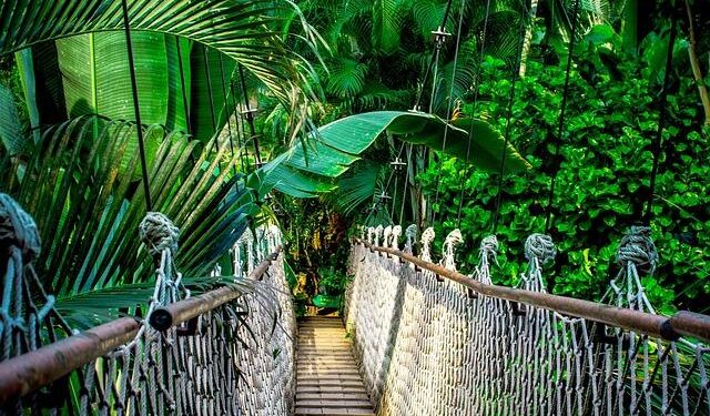 Amazon And Acer Store Deals: Check Out The 2025 Black Friday Promos – Ubergizmo