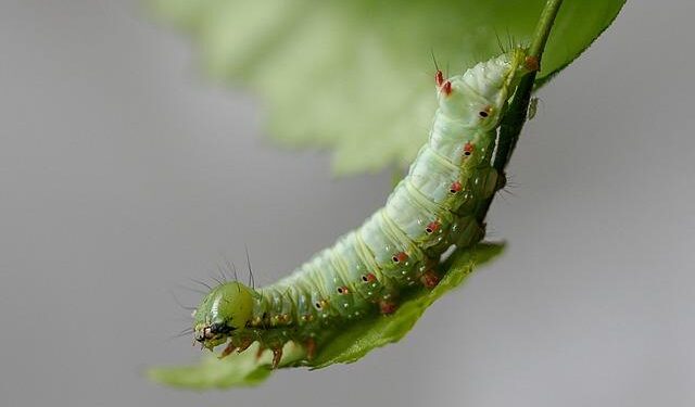 Prominent activist arrested as hundreds protest in Tunisia – AL-Monitor