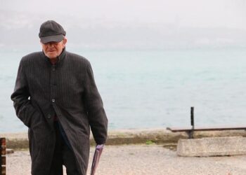 National One Health Strategy Workshop in Eswatini – ECDC