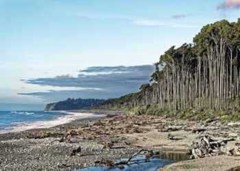 Bruce LeFavour, Chef/Owner, Rose et LeFavour, Saint Helena, CA – Restaurant Hospitality