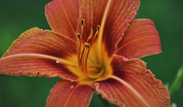 Ryu Jun-yeol Spotted at ‘Reply 1988’ 10th Anniversary Reunion – 조선일보