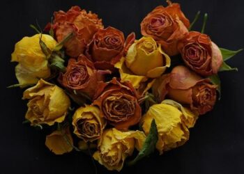 Anzana Electric and African Development Bank Power Up Burundi’s Energy Future with $600,000 Grant to Weza Power – African Development Bank Group