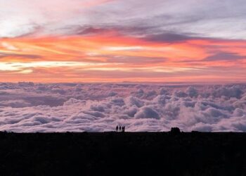 Rare Two-Thirds Off Deal Shakes Up Hawaii Travel: Cook Islands $323 – Beat of Hawaii