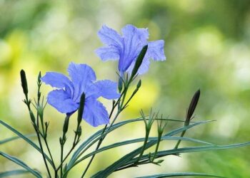 Sigifredo Castell Britton Ph.D. – Psychology Today