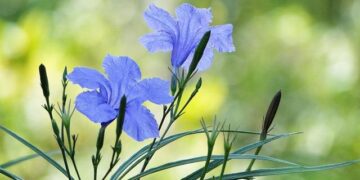 Sigifredo Castell Britton Ph.D. – Psychology Today