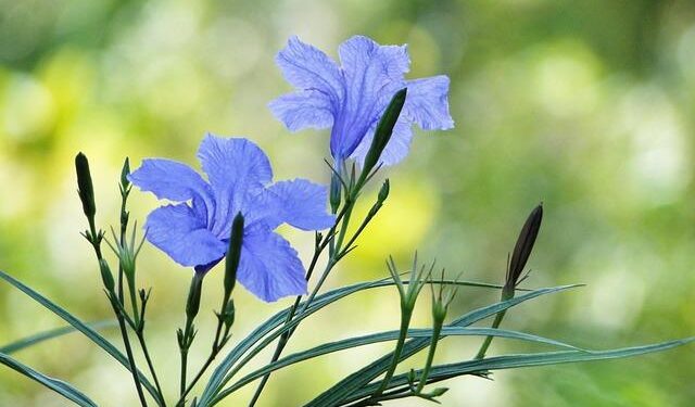 Sigifredo Castell Britton Ph.D. – Psychology Today