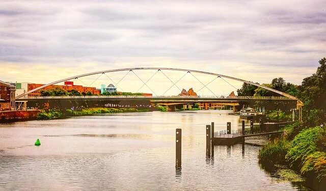 Netherlands Bicycle Market Size & Forecast 2025–2033 – vocal.media