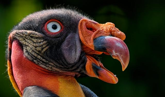 Akhannouch: King Mohammed VI’s Leadership Drove Key Shift in Sahara Issue – Morocco World News