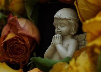 African Development Bank extends country strategy to support stability and growth in South Sudan – African Development Bank Group