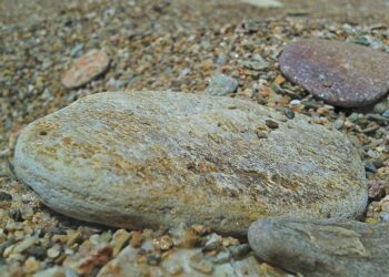 Conrad on using ‘grovel’ in India Test series: ‘I could have chosen a better word’ – ESPNcricinfo