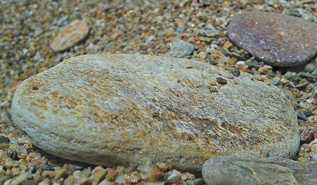 Conrad on using ‘grovel’ in India Test series: ‘I could have chosen a better word’ – ESPNcricinfo