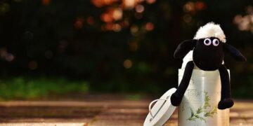 🚨 Gender Alert -The Case of Fahima and Farah Mohamoud: Perverse Sexual Violence in Somalia as a Crisis of Impunity and Silence – sihanet.org