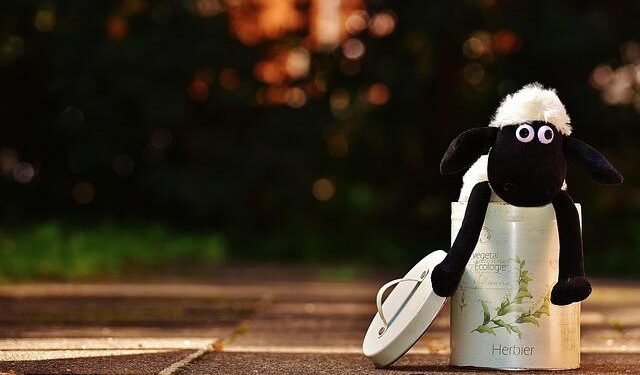 🚨 Gender Alert -The Case of Fahima and Farah Mohamoud: Perverse Sexual Violence in Somalia as a Crisis of Impunity and Silence – sihanet.org