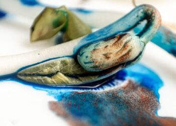 Explosive mpox outbreak in Sierra Leone overwhelms health systems – Science | AAAS