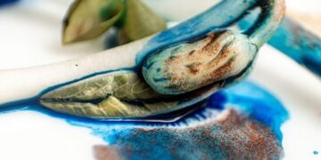 Explosive mpox outbreak in Sierra Leone overwhelms health systems – Science | AAAS