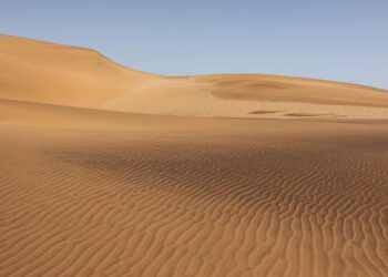 What’s Really Happening Beneath Namibia’s Fairy Circles? – University of Richmond
