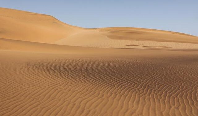 What’s Really Happening Beneath Namibia’s Fairy Circles? – University of Richmond