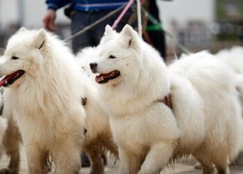 Rep. Bernard Blue Benson Jr. Pushes for US$500,000 Budgetary Support to Liberia’s Creative Industry – FrontPageAfrica