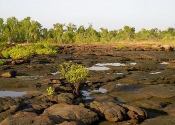 Kimberly Guilfoyle’s Wildly Lavish Life In Greece Is Proof She’s So Out Of Touch – thelist.com