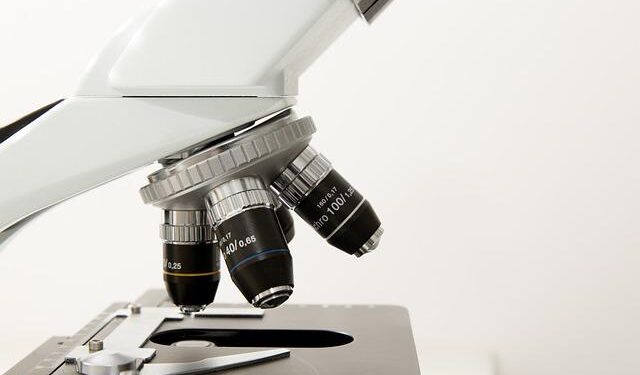 Meet the Brazilian-Croatian doctor at the New England Patriots – Croatia Week