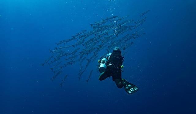 New USGS, NPS Study: Submarine Groundwater Discharge Fuels Algal Growth, Threatening Coral Reefs in American Samoa – USGS (.gov)