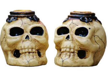 Investigation underway after possible human skull found in Pitcairn home – WPXI