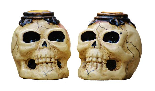 Investigation underway after possible human skull found in Pitcairn home – WPXI