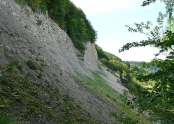Landslide strikes village in Papua New Guinea, killing 20 – Anadolu Ajansı