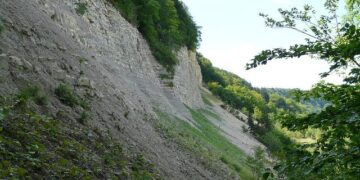 Landslide strikes village in Papua New Guinea, killing 20 – Anadolu Ajansı