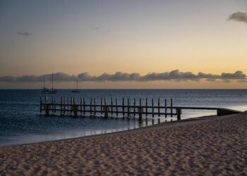 Australia overwhelms Northern Mariana Islands 14-0, leaving China intimidated – CHOSUNBIZ – Chosunbiz