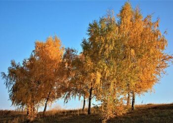 Moldova’s pro-EU ruling party won despite Russian interference. Now what? – Atlantic Council