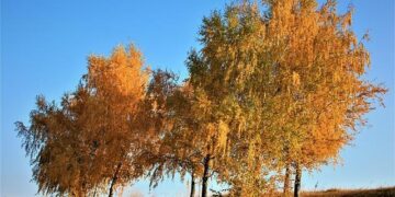 Moldova’s pro-EU ruling party won despite Russian interference. Now what? – Atlantic Council