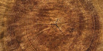 Annual inflation in December at 3.8% in Latvia / Article – LSM