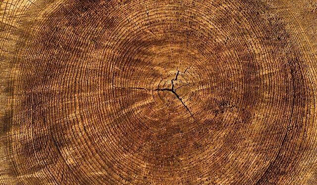 Annual inflation in December at 3.8% in Latvia / Article – LSM