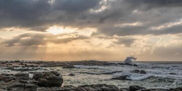 South Africa eases affirmative action regulations on Starlink and others that Musk said were racist – WRAL